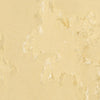 Swatch for ANDREA SKIRT (YELLOW)
